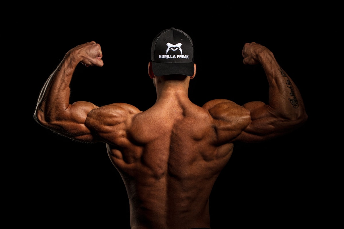 Plant-Based Protein Powders